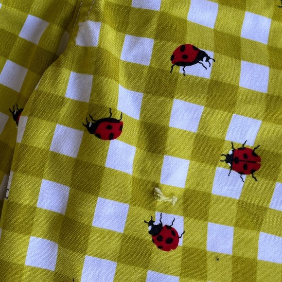 Duluth Trading Co womens wild card cotton canvas bibs overalls ladybug gingham - Picture 6 of 7